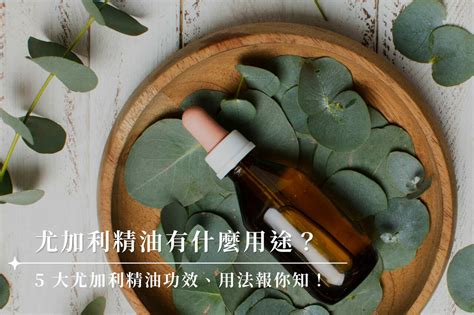 尤加利精油禁忌|尤加利精油功效及使用方法：6大檸檬尤加利精油禁。